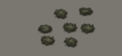 Leafy Green Bushes