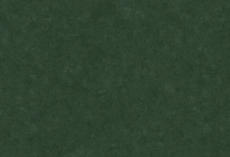 Jungle texture